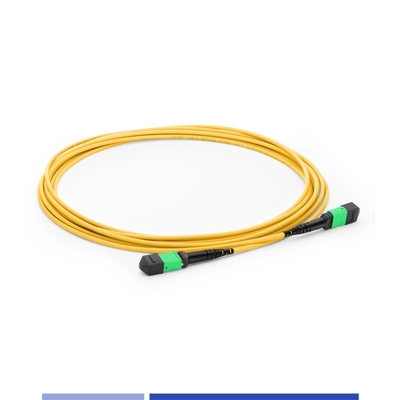 Mua 12 Core MTP® Fiber Optic Patch Cord nữ Đơn phương thức G652D 10m Cáp cắm sợi OFNP loại B sản xuất trực tuyến